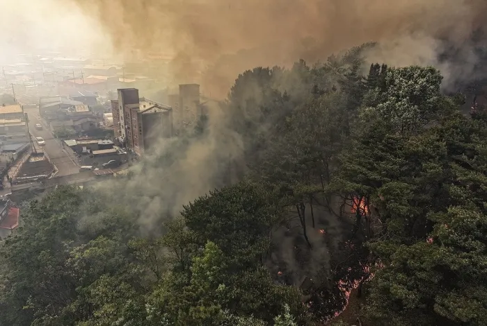 대구 함지산 산불