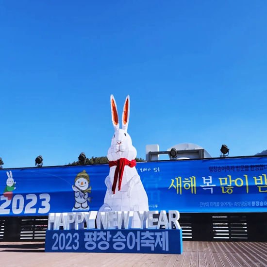 1월 축제 가볼만한곳