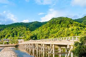 아라시야마 대나무숲과 도게츠교 사진