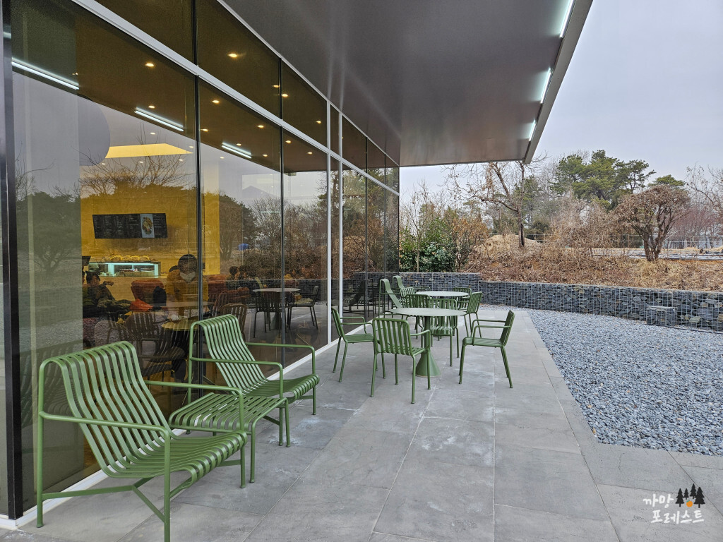 포커스온나우 테라스