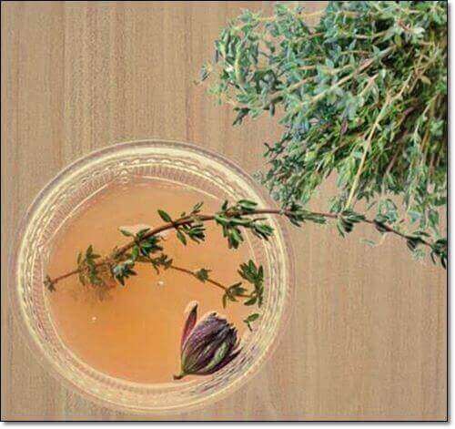 백리향 차 효능