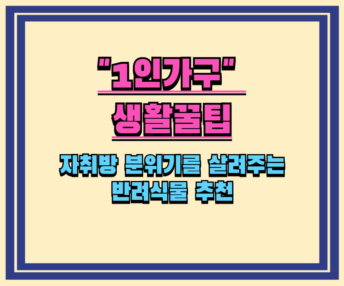 자취방 분위기를 살려주는 반려식물 추천