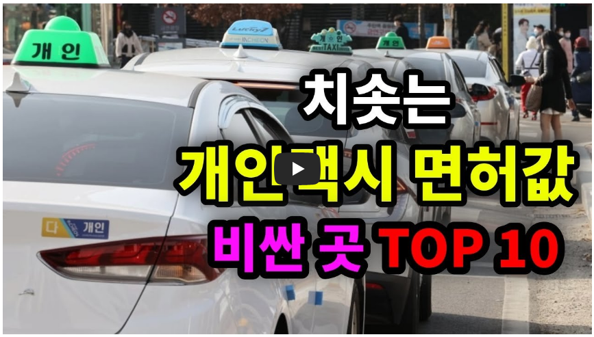 전국 택시 면허값 비싼 곳 탑10 영상