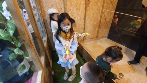 새모이주기체험