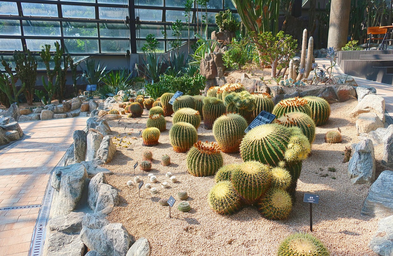 서울 식물원 관련 사진