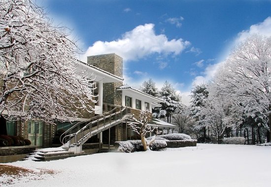 충청권 겨울에 걷기 좋은 숲길 & 트레킹 추천 BEST 7