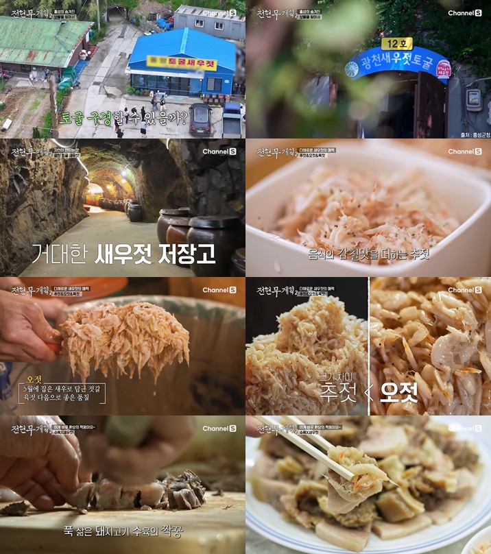 광천토굴새우젓 사진입니다.