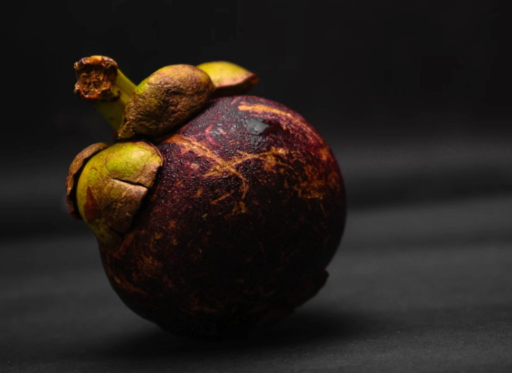 망고스틴 먹는법