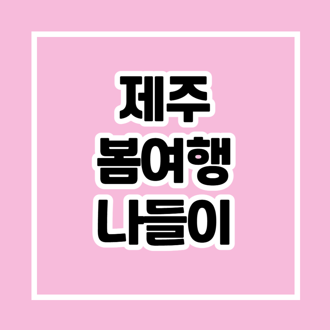 제주 봄 여행 관련 사진