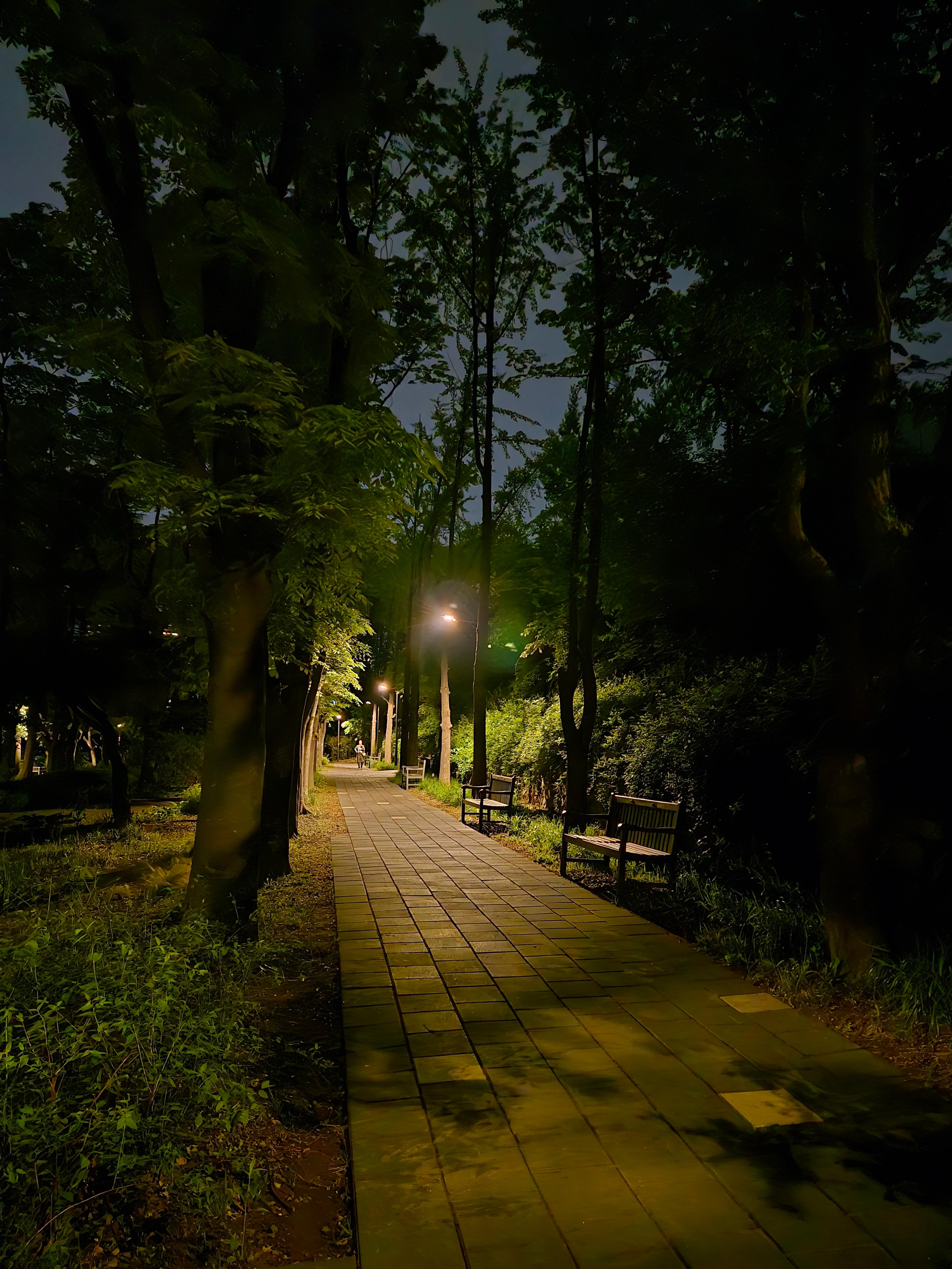 야경 걷기 좋은 길