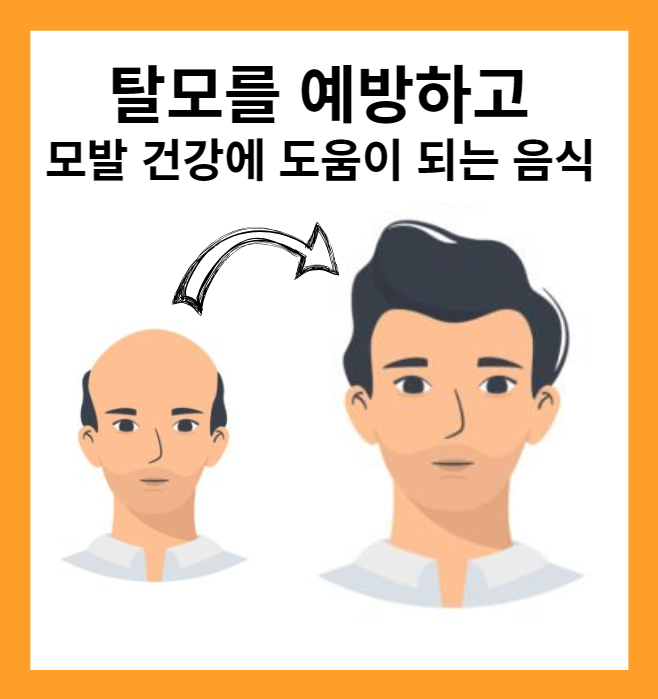 탈모를 예방하고 모발건강에 도움이 되는 음식