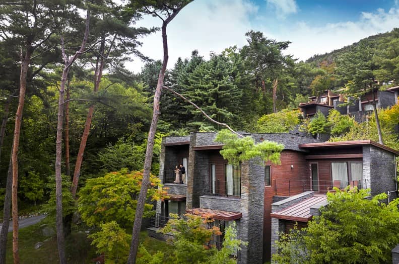 포레스트-리솜의-숲속뷰