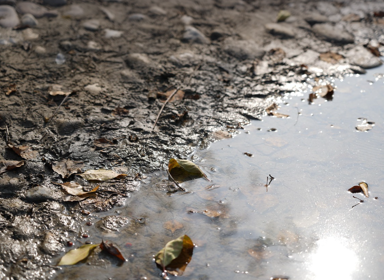 멈추지 않는 지구의 신호 환경오염이 남긴 위기의 흔적