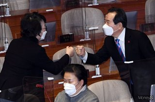 김진애 의원 방송 활동