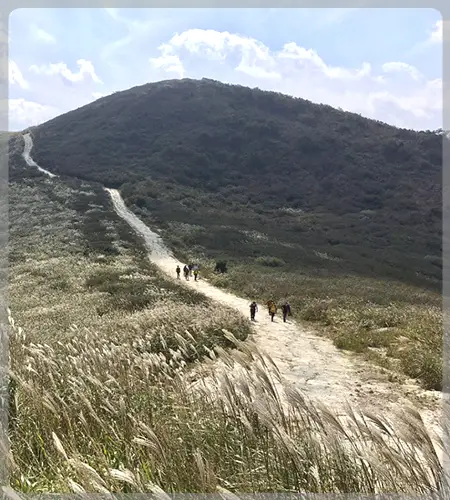 황매산 억새축제_2