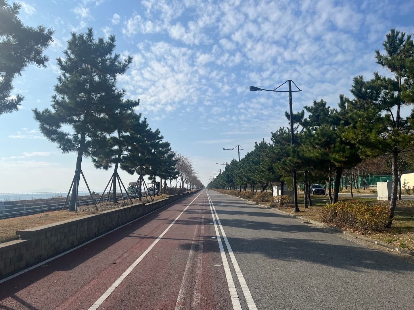 씨사이드파크 바다자전거 자전거길