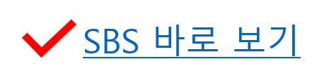 SBS 바로 보기 이미지
