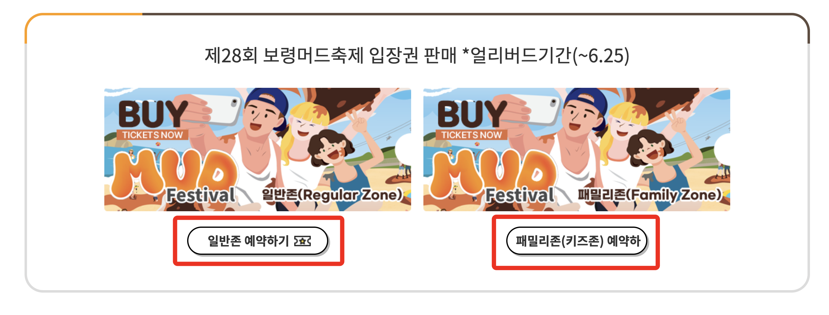 보령머드축제