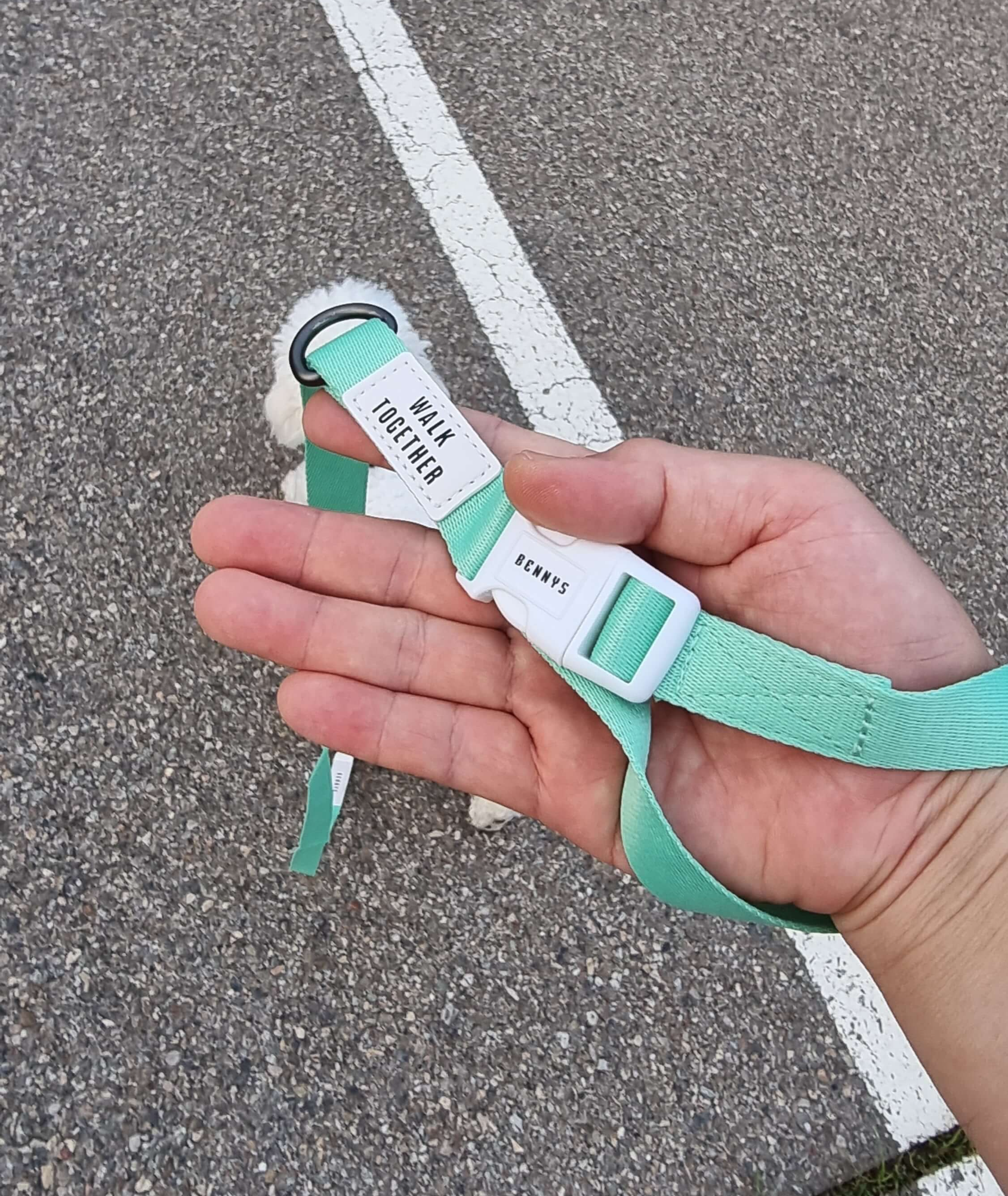 리드줄 손잡이 버클