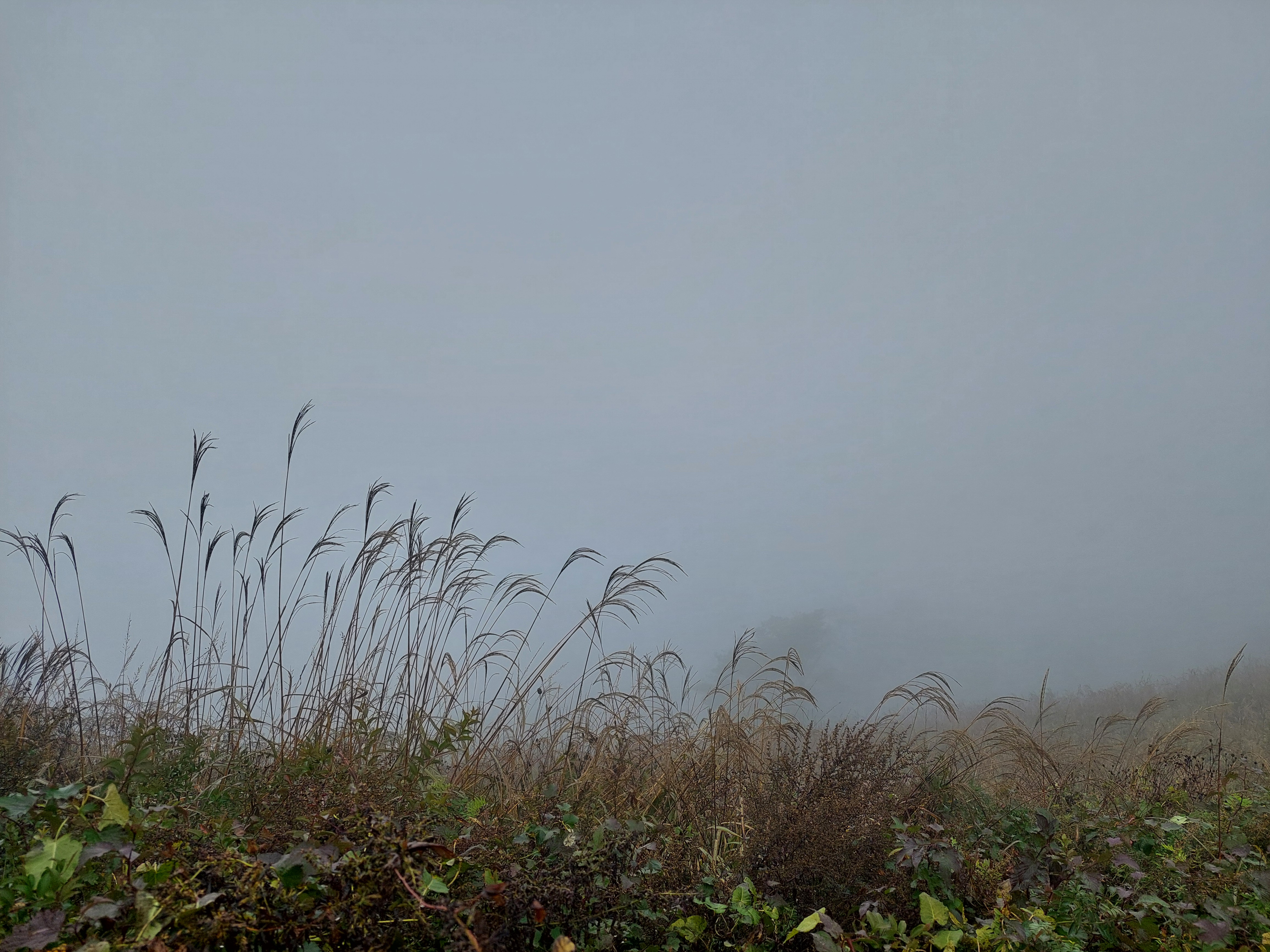 민둥산