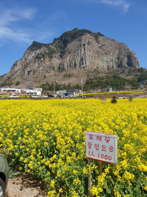 제주도 가볼 만한 곳 10곳