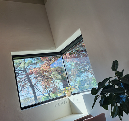 파주 금촌 디디에 카페 내부 사진