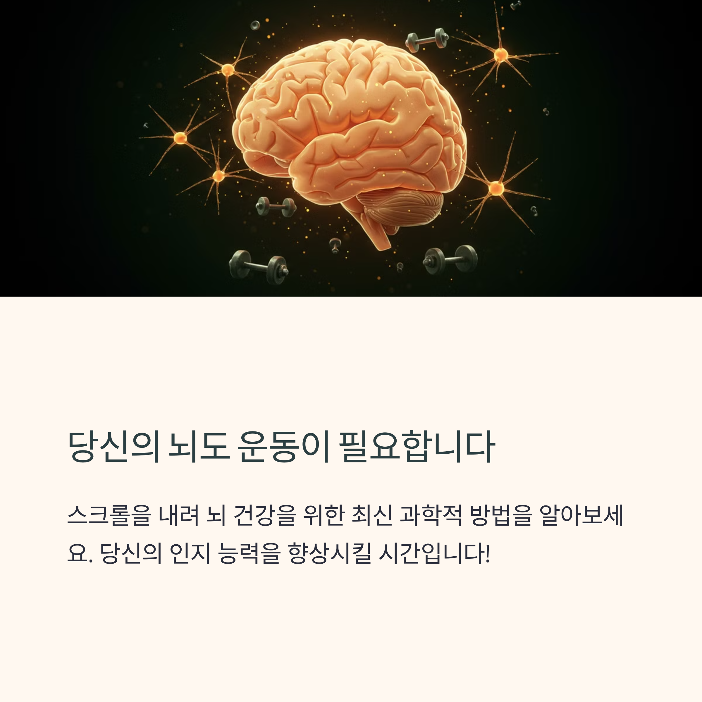 뇌운동효과와실천방법