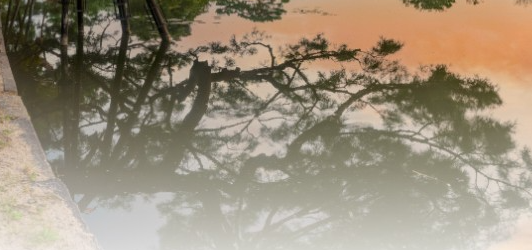 경복궁 야간개장 인터넷예매