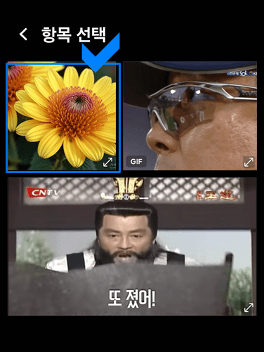사진첩에서 꽃 선택하기