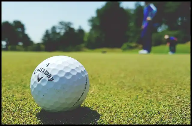 파크골프채 가격 추천 (혼마, 피닉스, 미즈노)