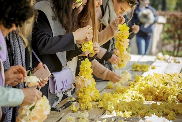 네덜란드 튤립축제