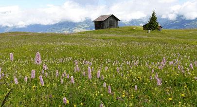 빈집이음사업 대상자
