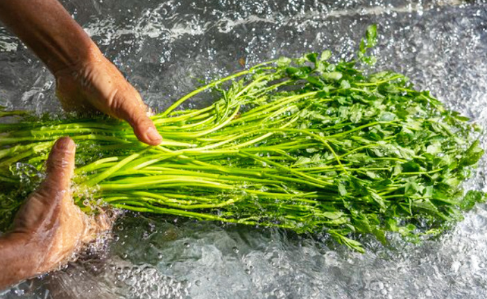 미나리무침 만드는 법