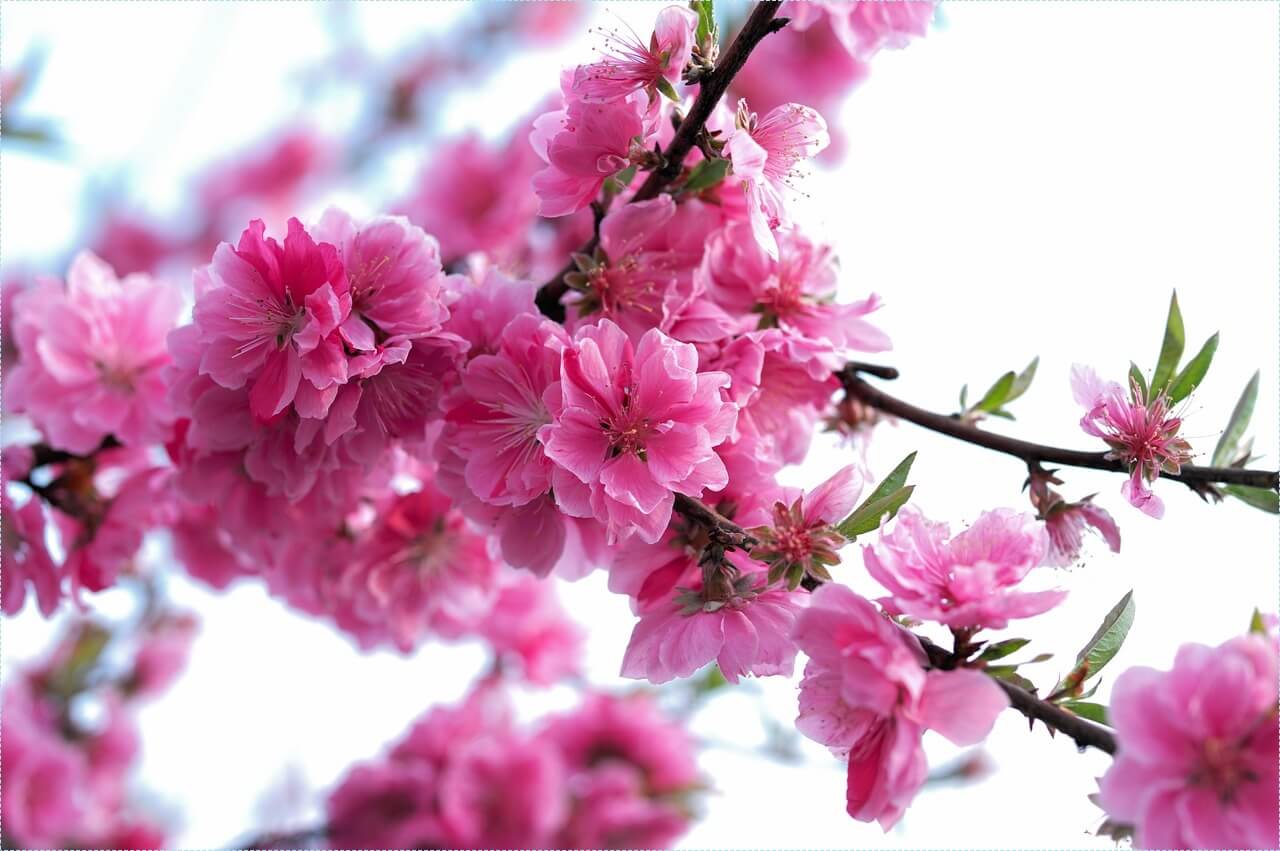 적금 이율 높은 은행