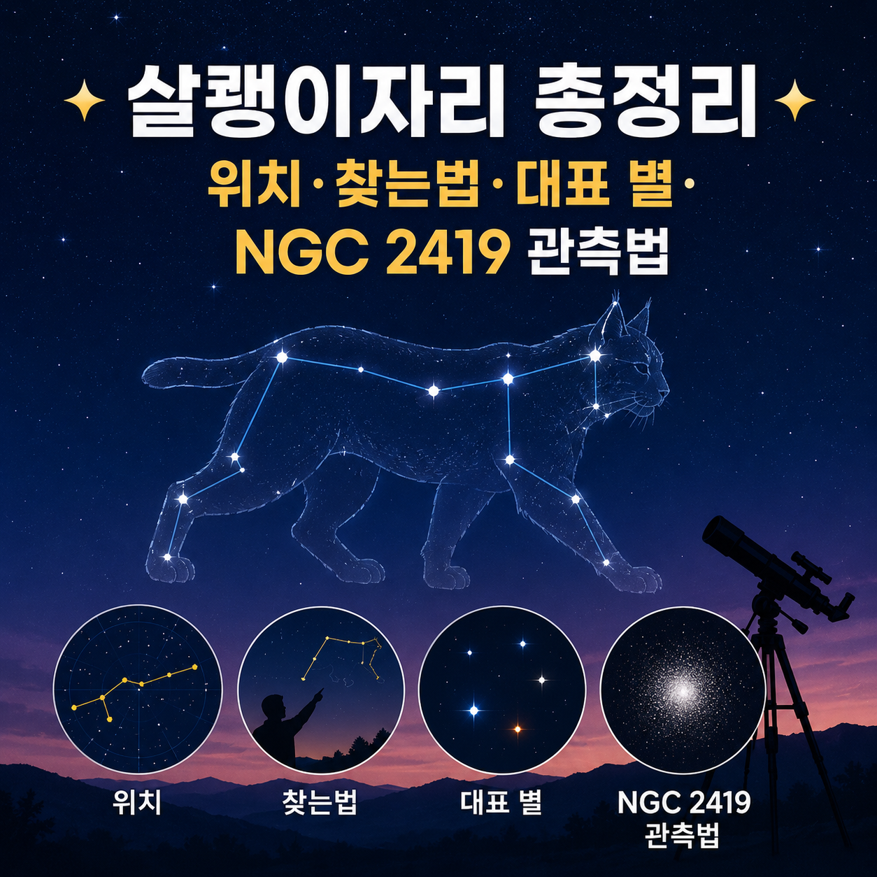 살쾡이자리