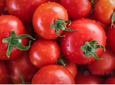 저속 노화를 위한 10가지 실천법: 오늘부터 달라지는 건강 루틴