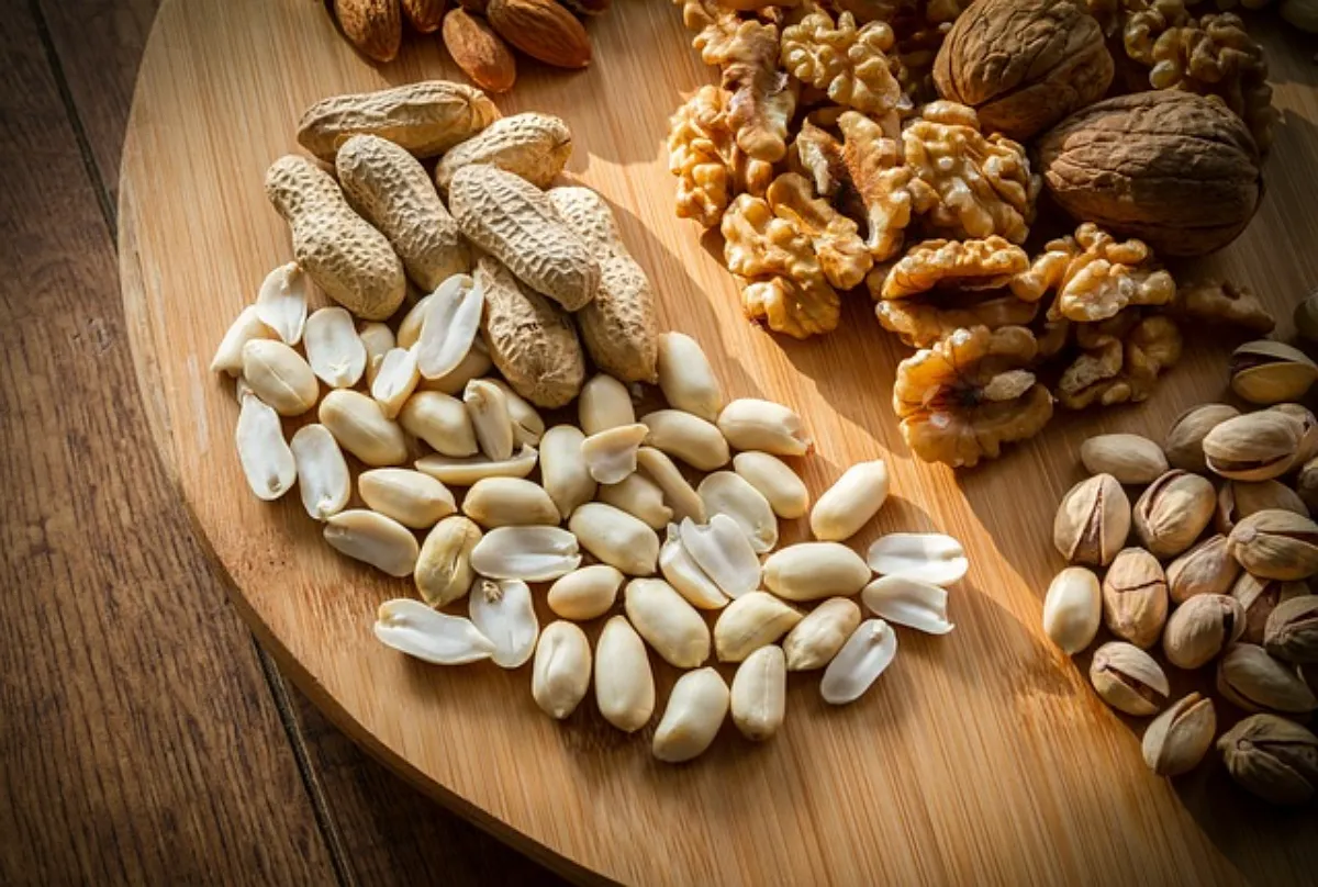 고양이가-먹으면-안-되는-위험한-음식-쟁반에-담긴-견과류