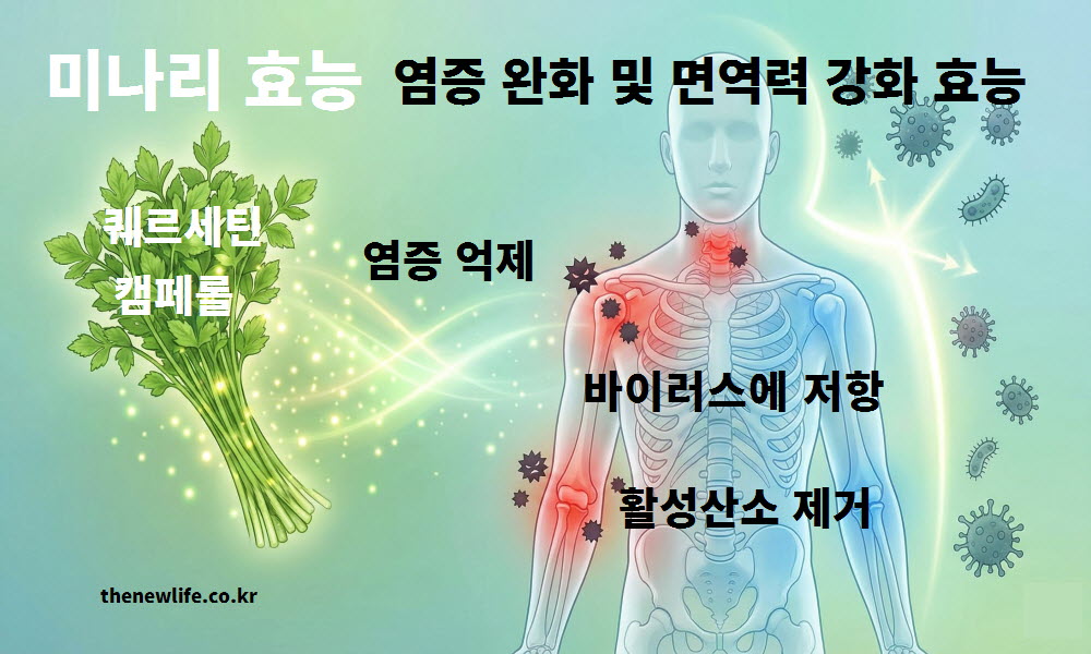 미나리 효능인 염증 완화와 면역력 강화 효과를 설명하는 인공 이미지