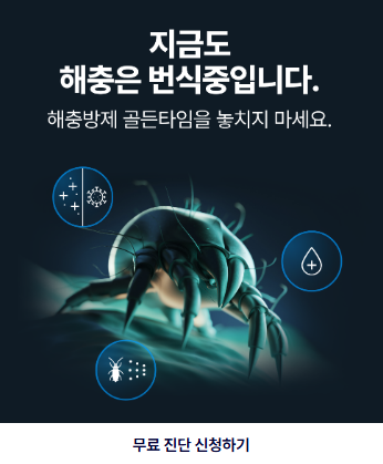 세스코 가정집 비용 후기 2025 평수별 가격 총정리 [20평, 30평, 40평]