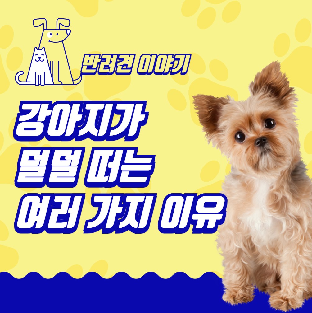 강아지가-덜덜-떠는-여러가지-이유