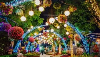 2025 고양국제꽃박람회 일정 사전예약 할인_4