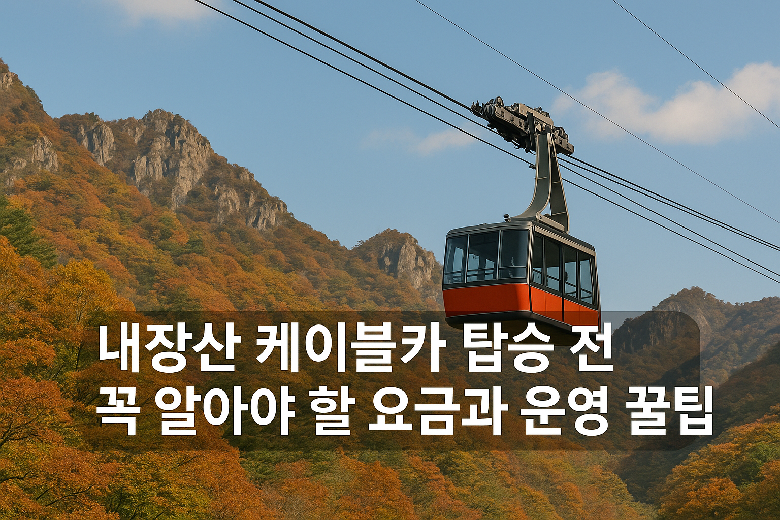 내장산 케이블카