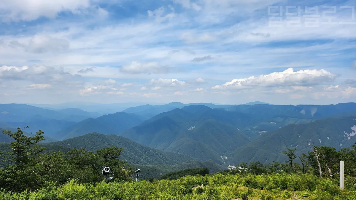 정선-파크로쉬-케이블카-정상-뷰