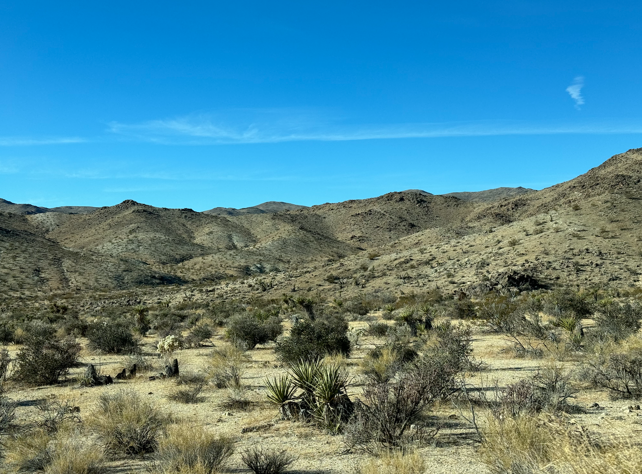 렌터카로 즐기는 LA 로드트립