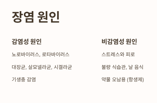 장염 원인