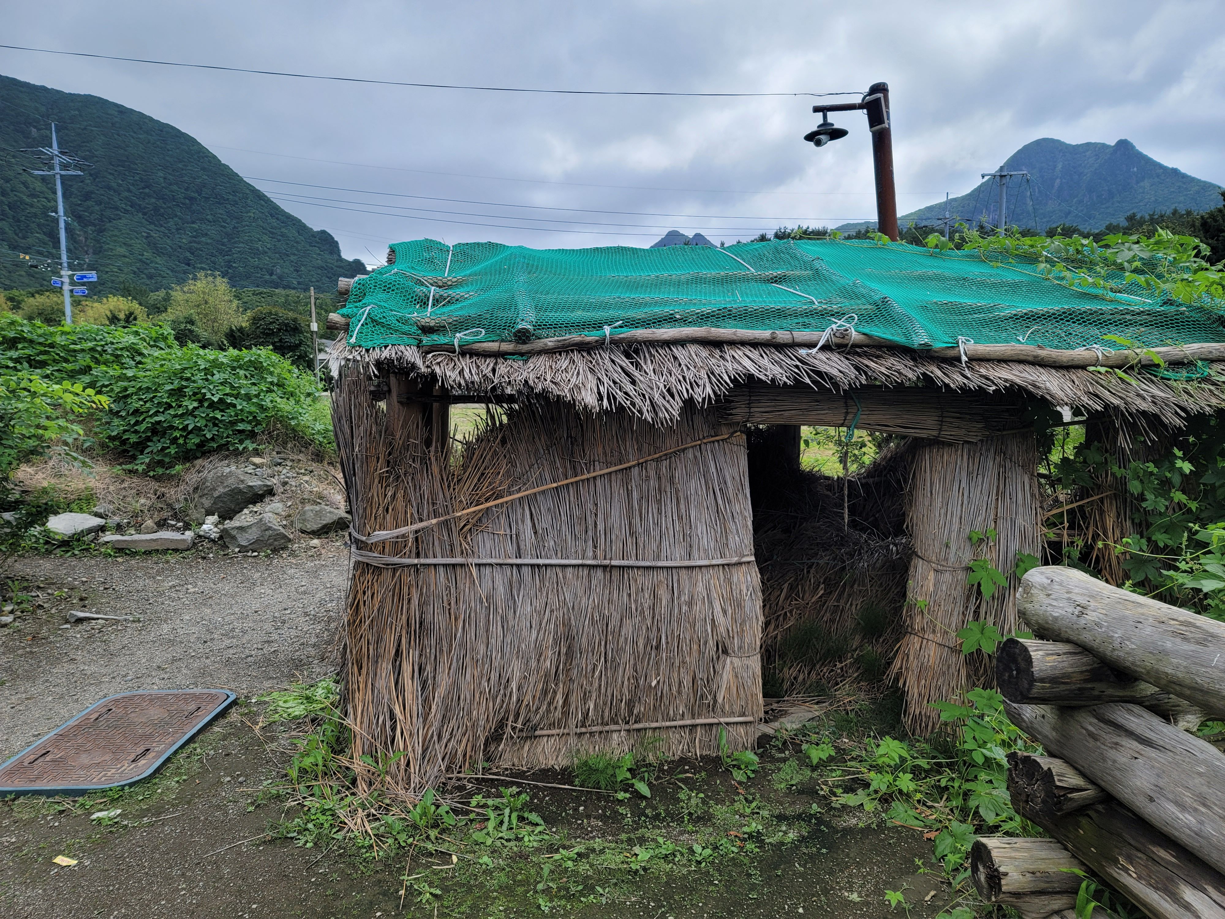 나리분지 맛집 식당, 주차장 숙박 가볼만한곳 총정리