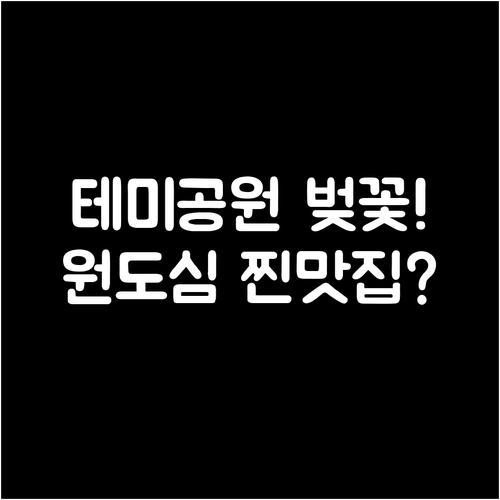 대전 중구 봄나들이 코스 테미공원 꽃..