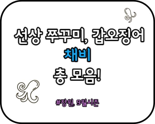 선상-채비-모음