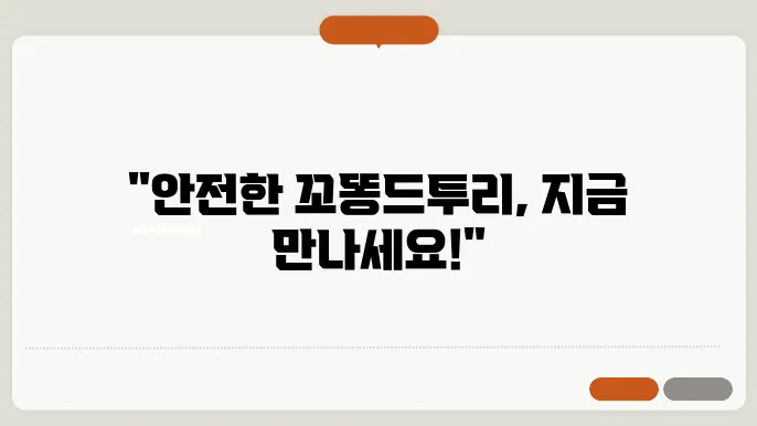 꼬똥드툴레아가 큰 눈으로 쳐다보는 모습