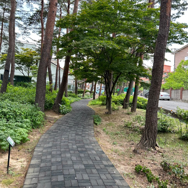 속초 여행&#44; 속초 가족여행&#44; 속초 여행코스